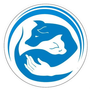 Истории о Животных