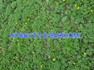 Новости о самом важном