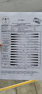 Итоги сезона 2024 :