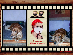 Мракобесие 2020