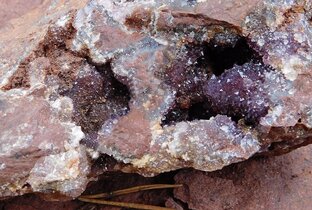 Аметистовые щетки Терского берега