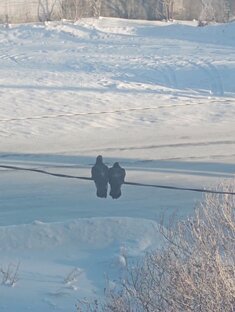 -35, Холодаа