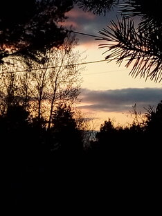 Удивительный мир и  его красота.