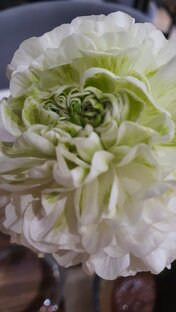 Биохимические сказки