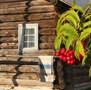 Виктор Рашитов