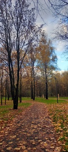Пасхалки в нашей жизни
