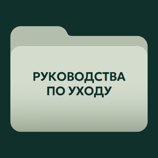 Руководства по уходу