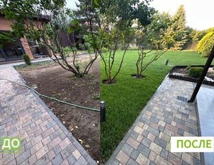 Рулонный газон до-после 