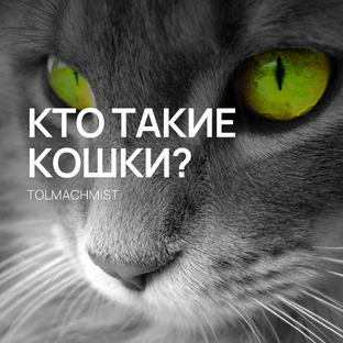 КОШКИ