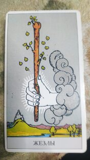 Карта дня Таро Жезлы