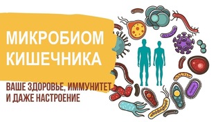 Кто управляет нашим аппетитом?