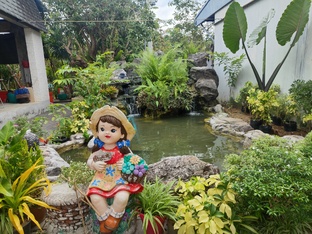 Четвертая зимовка в Таиланде