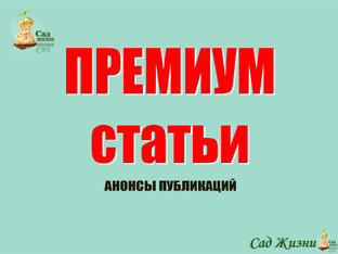 Анонсы статей в ПРЕМИУМ разделе