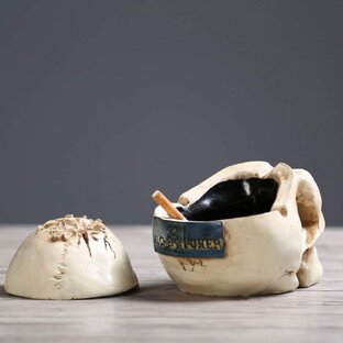 Дроносафари