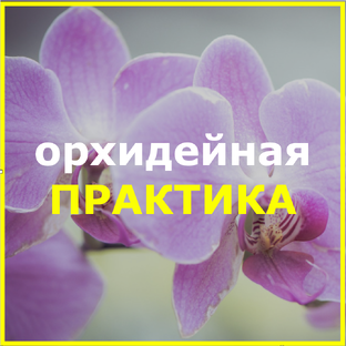 ОРХОпрактика с Еленой Кузнецовой