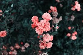 Лёгкие психологические статьи