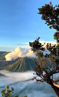 Сказочное Бали 🏝