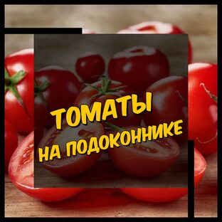 Про томаты🍅