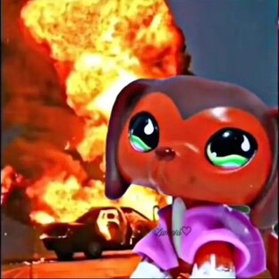 LPS клипы 