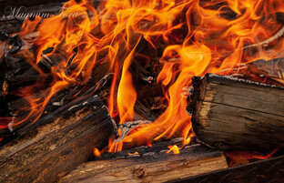 Фото подборка.