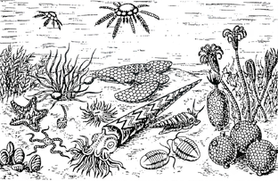 Начала ксенобиологии (Confert_ad_xenobiology)