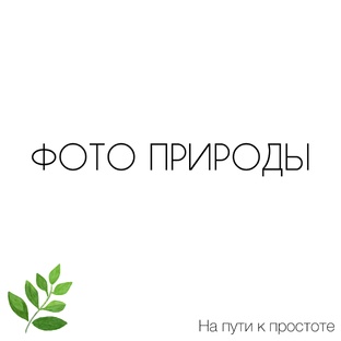Фото природы