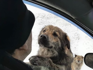 Шикарный парень мечтает познакомиться.