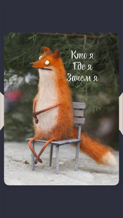 ЖИЗА ШИЗА