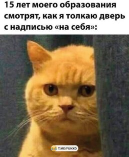 Животные