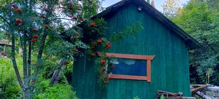 Ремонт, дача