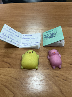 Дневниковые записи.