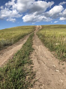 Прокачу по России🚘