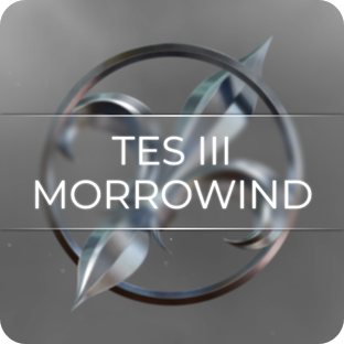 The Elder Skrolls III: Morrowind