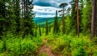 Детективы о Степане Громове