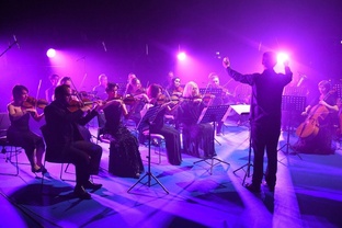 Камерный оркестр