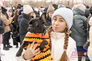 Все видеосюжеты от СДФ МЫ - СТРАНА!