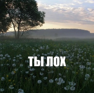 арты, подарки и тд💗