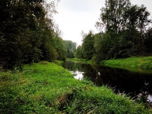 Стресс под контролем