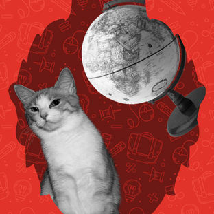 Полезно знать