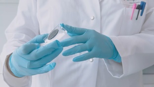 Новости мира науки