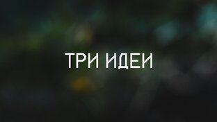 Дисклеймер