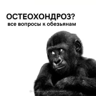Здоровье 