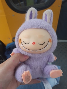 мой лабубу💕