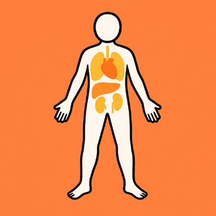 Органы и ЛФК