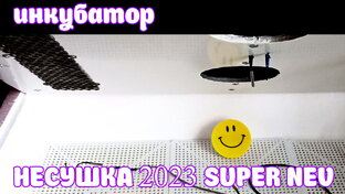 Всё об инкубаторах