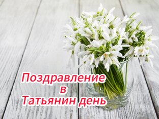 Видеопоздравления с самыми разными праздниками 😺