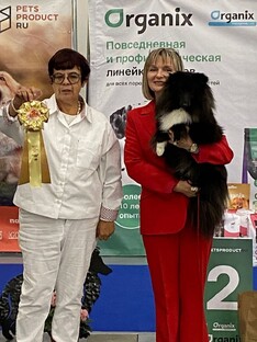 Наша чёрная жемчужина - ЖАСМИН - Русский Версаль Чёрная Пантера 