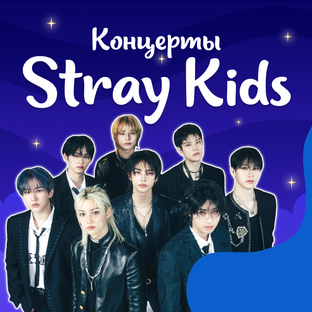 Концерты Stray Kids