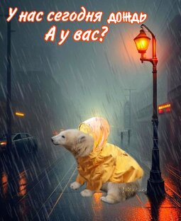 Медвежоны 🤗 и другие