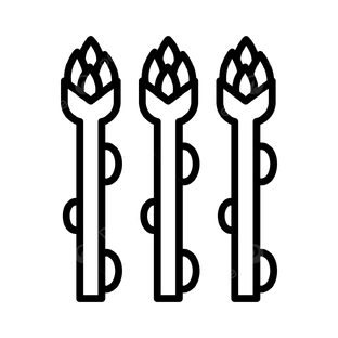 Выращивание спаржи